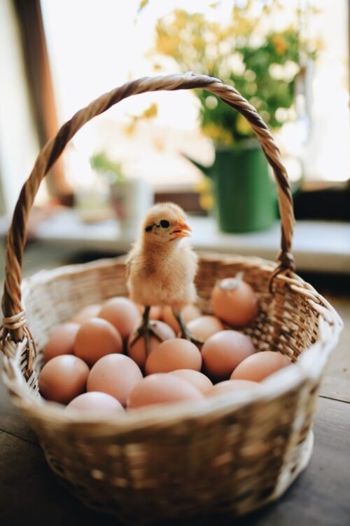 easter basket