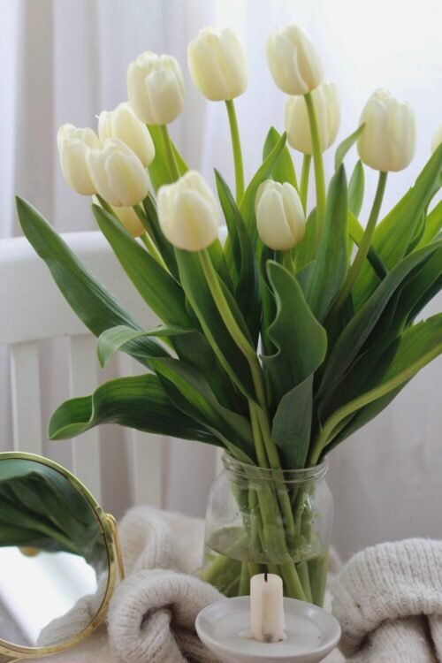 white tulips