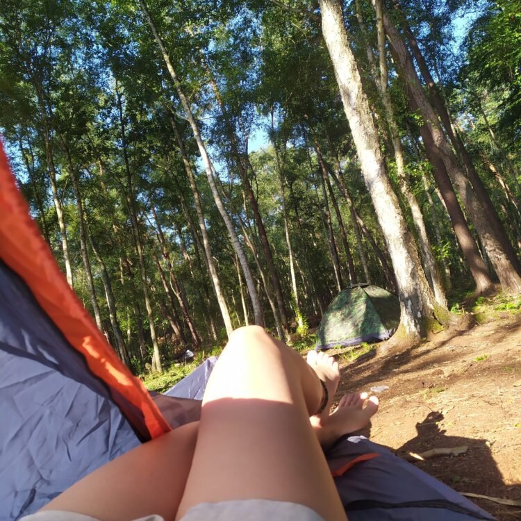 IMG 20220803 083521
